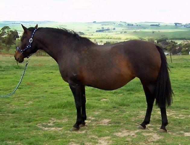 Dam Chapel House Carabela    SO761   